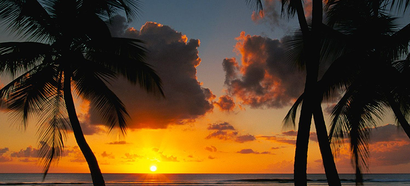 This is an example of a caption 免费用虚拟号码发短信